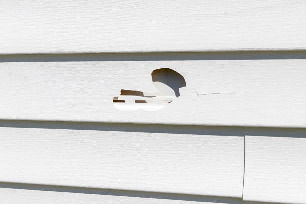 Best Siding Painting and Refinishing  in Sylvania, AL