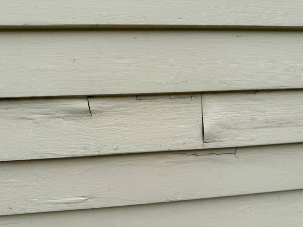Best Custom Trim and Detailing for Siding  in Sylvania, AL